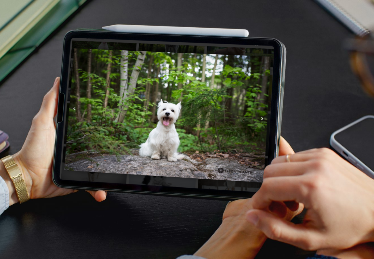 Site web de Lison Plante, photographe canin, dans une tablette mobile avec mains d'un couple qui se tiennent